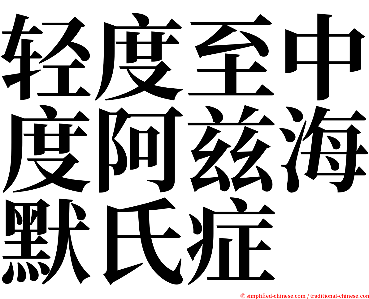 轻度至中度阿兹海默氏症 serif font