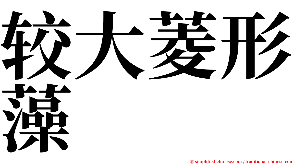 较大菱形藻 serif font