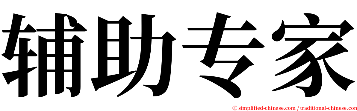 辅助专家 serif font