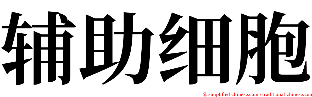 辅助细胞 serif font