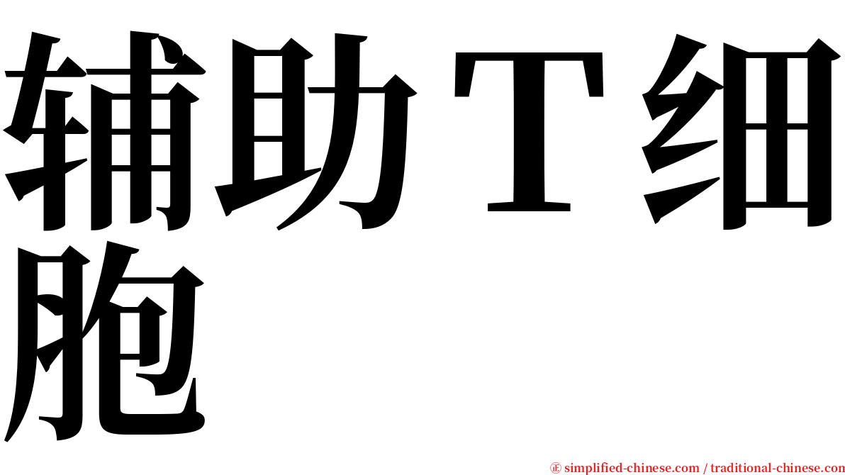 辅助Ｔ细胞 serif font