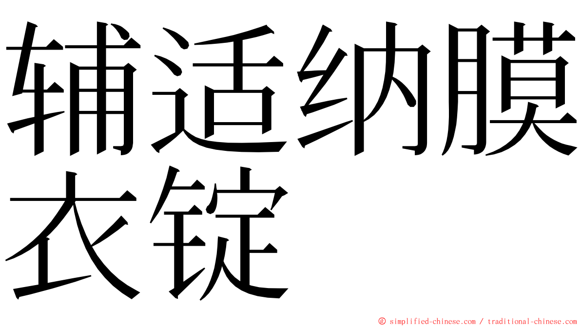 辅适纳膜衣锭 ming font