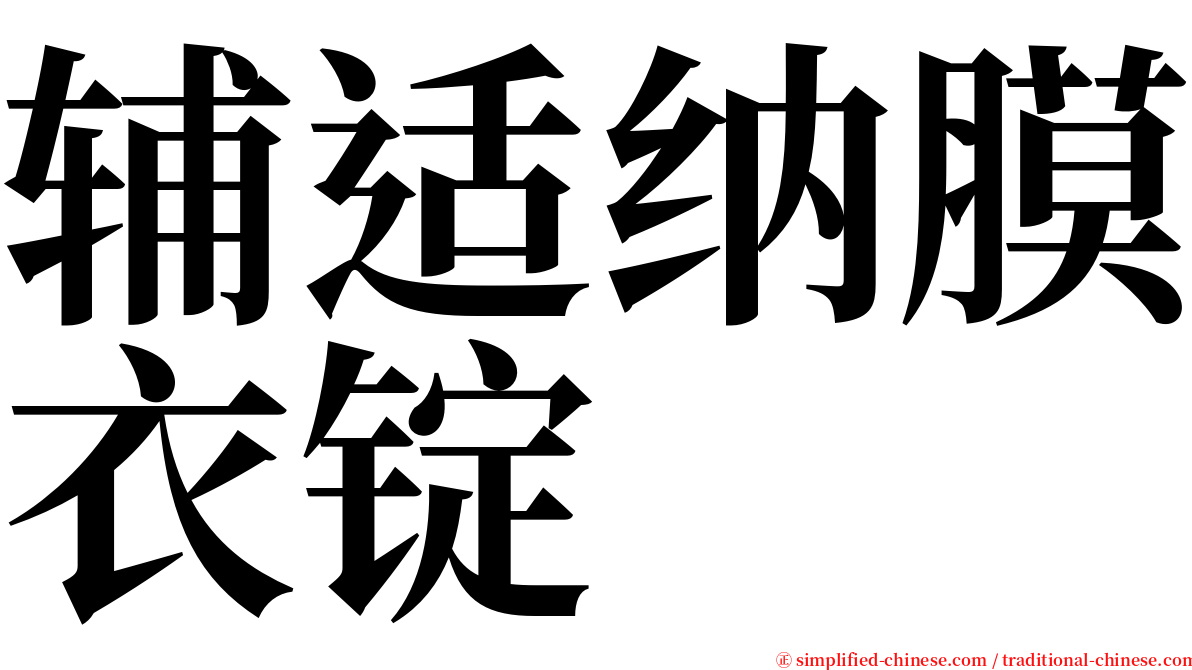 辅适纳膜衣锭 serif font