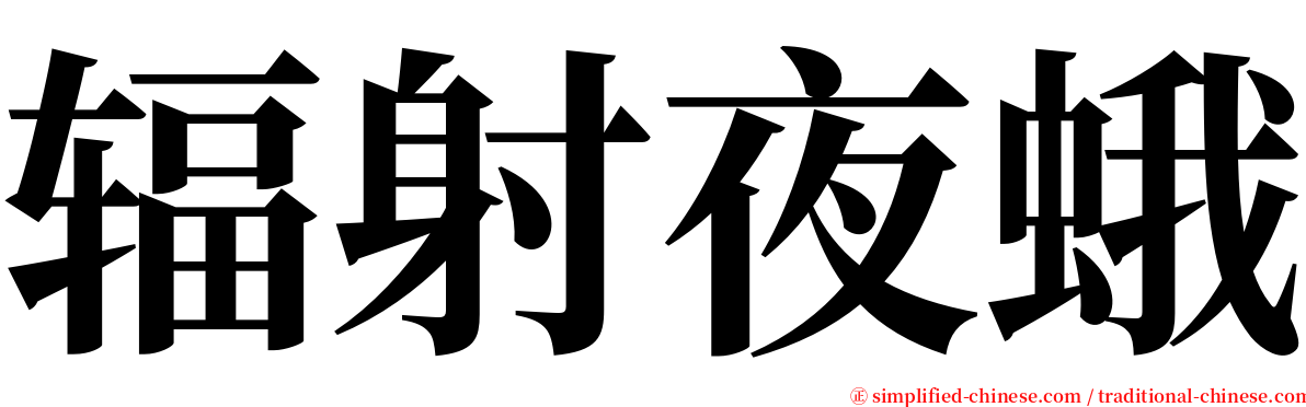 辐射夜蛾 serif font