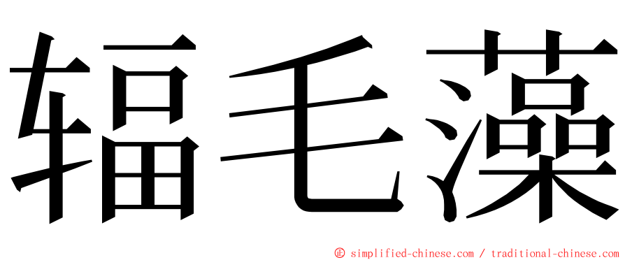 辐毛藻 ming font