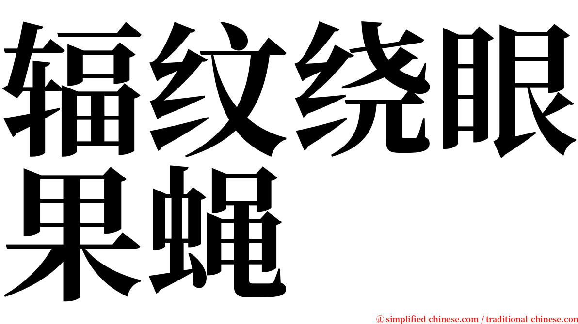 辐纹绕眼果蝇 serif font