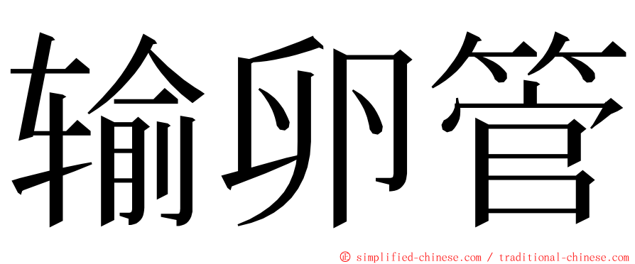 输卵管 ming font