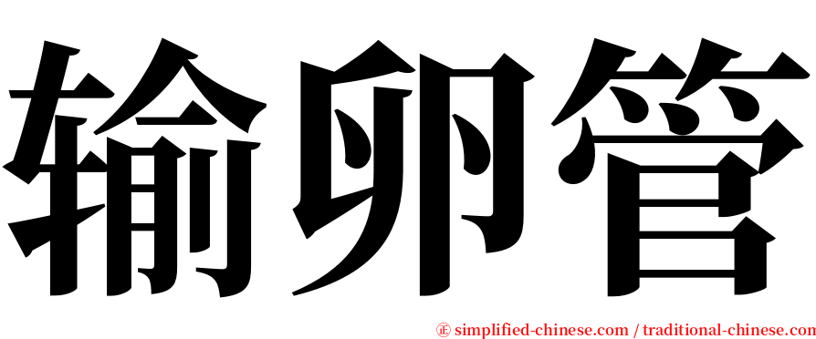 输卵管 serif font