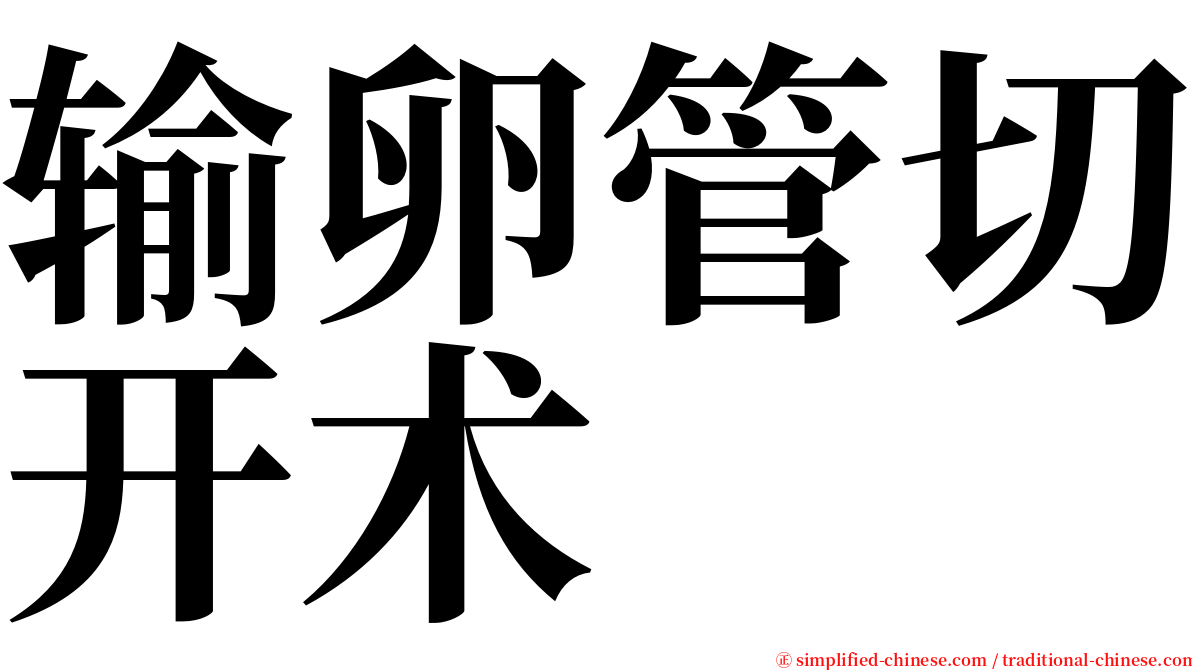 输卵管切开术 serif font