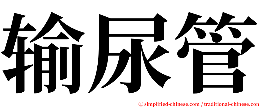 输尿管 serif font