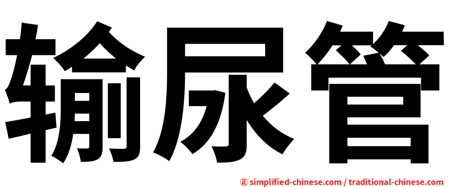输尿管