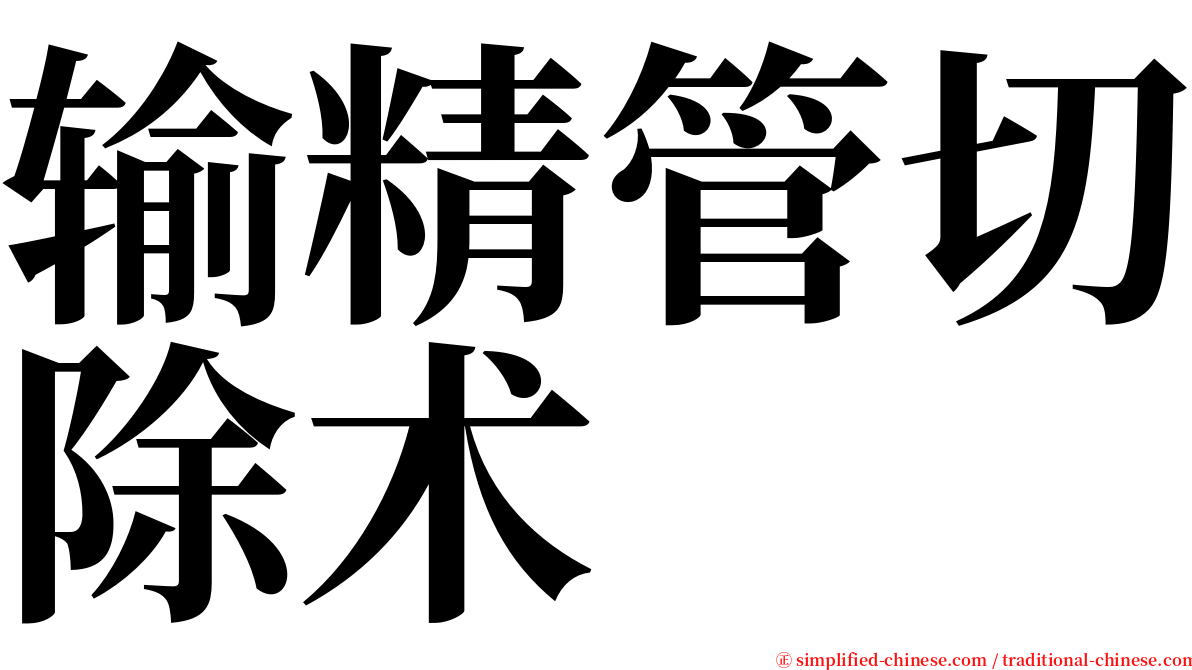 输精管切除术 serif font