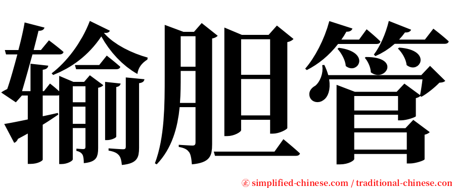 输胆管 serif font