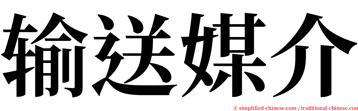 输送媒介 serif font