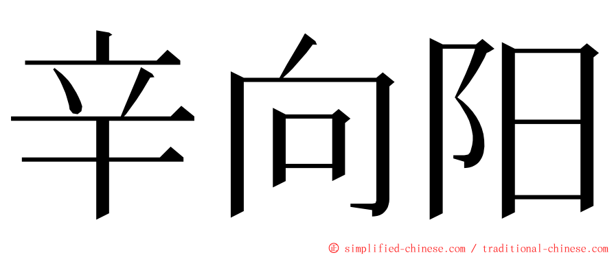 辛向阳 ming font