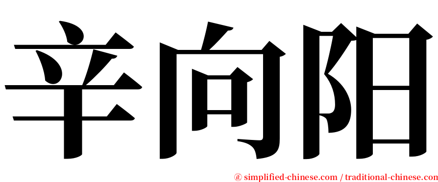 辛向阳 serif font