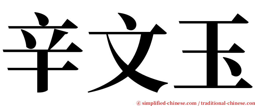 辛文玉 serif font