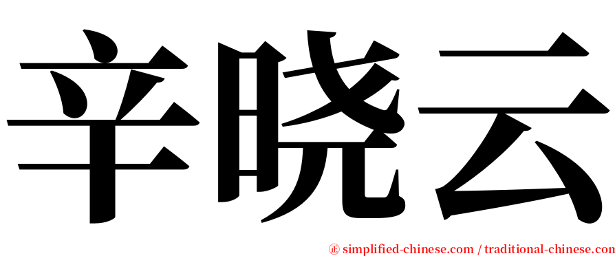 辛晓云 serif font