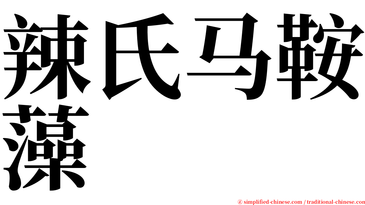 辣氏马鞍藻 serif font