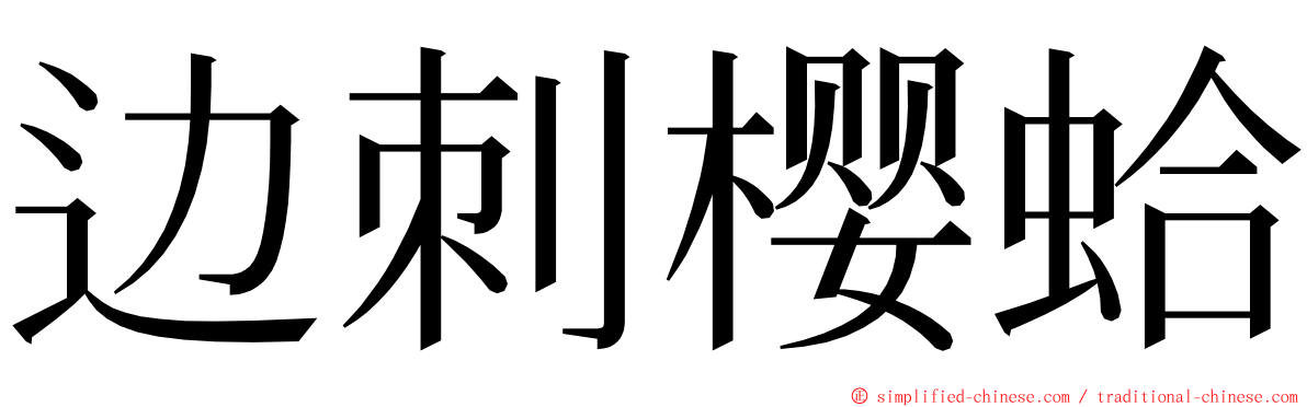 边刺樱蛤 ming font