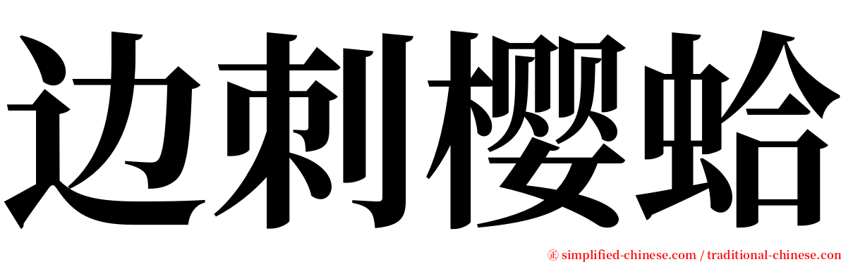 边刺樱蛤 serif font