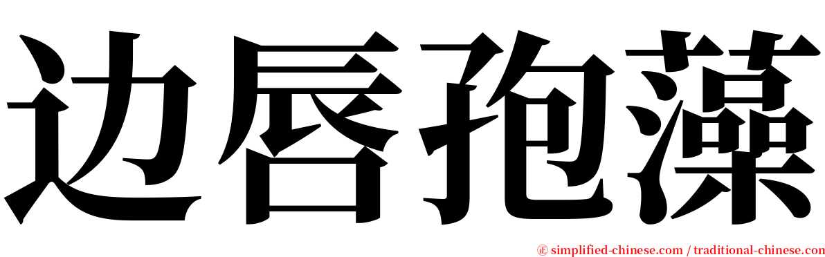 边唇孢藻 serif font