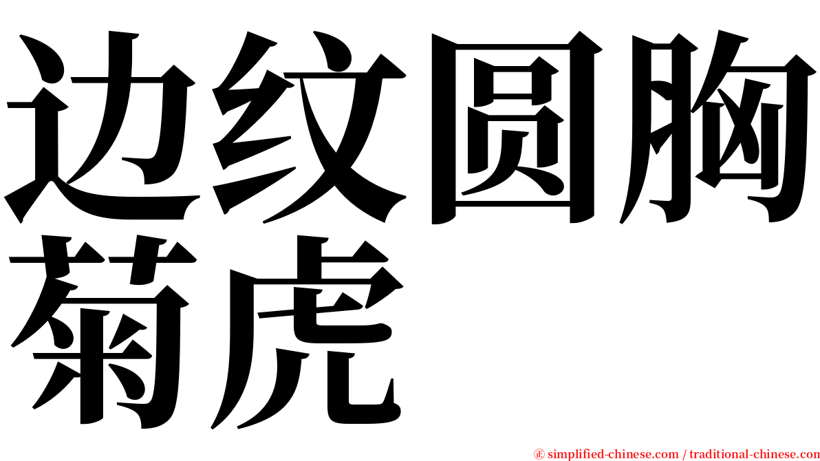 边纹圆胸菊虎 serif font