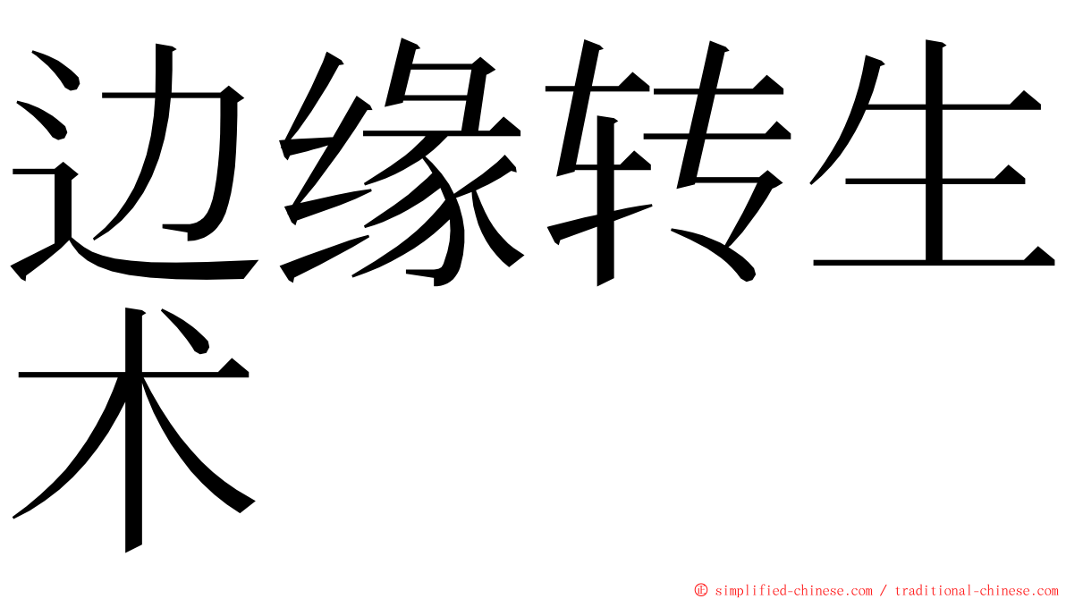 边缘转生术 ming font