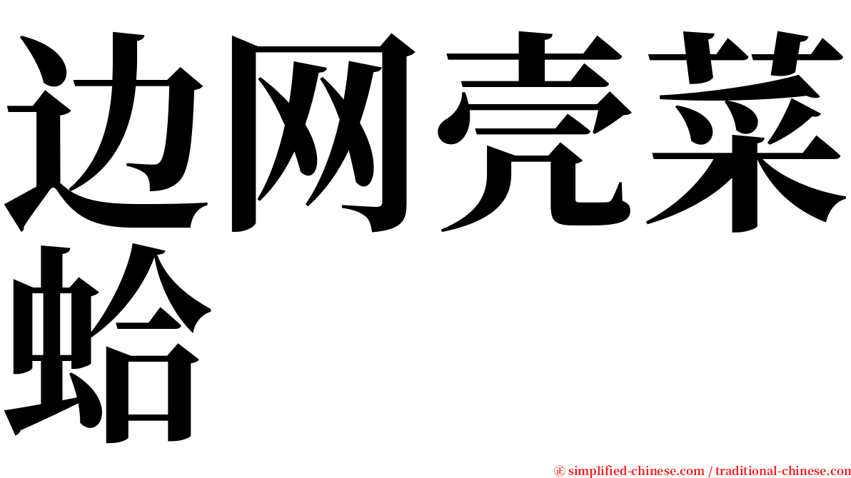 边网壳菜蛤 serif font