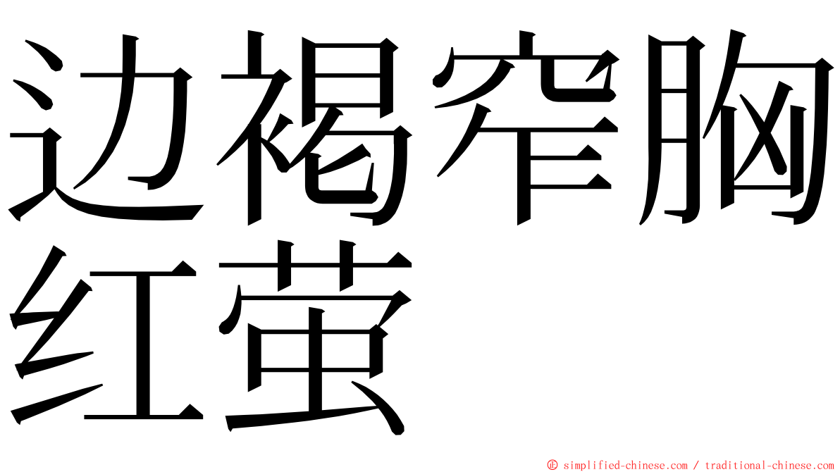 边褐窄胸红萤 ming font