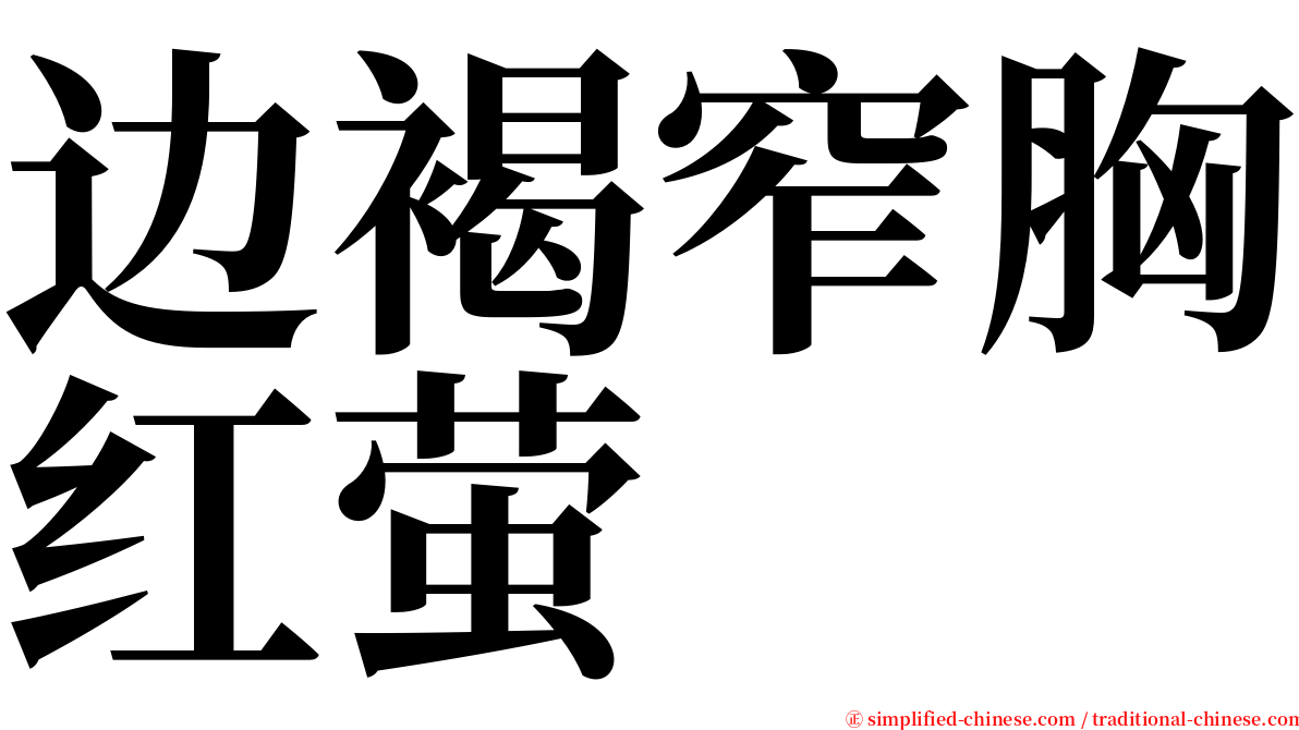 边褐窄胸红萤 serif font