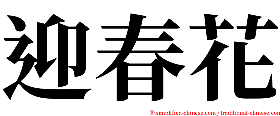 迎春花 serif font