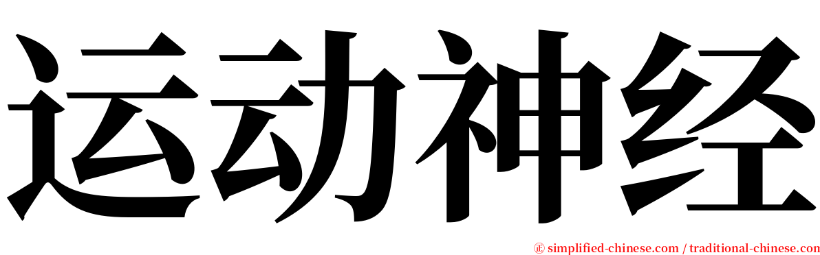 运动神经 serif font