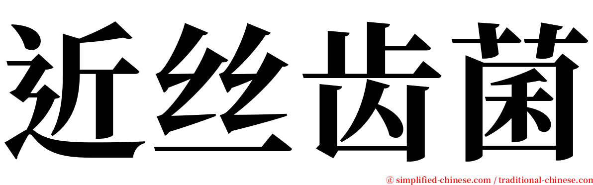 近丝齿菌 serif font