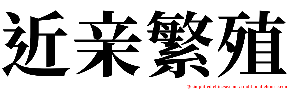 近亲繁殖 serif font