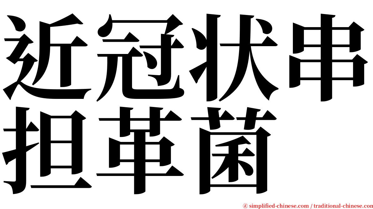 近冠状串担革菌 serif font