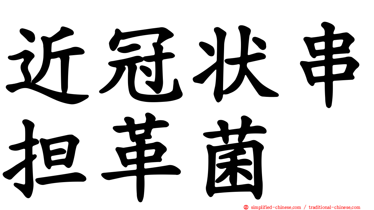 近冠状串担革菌