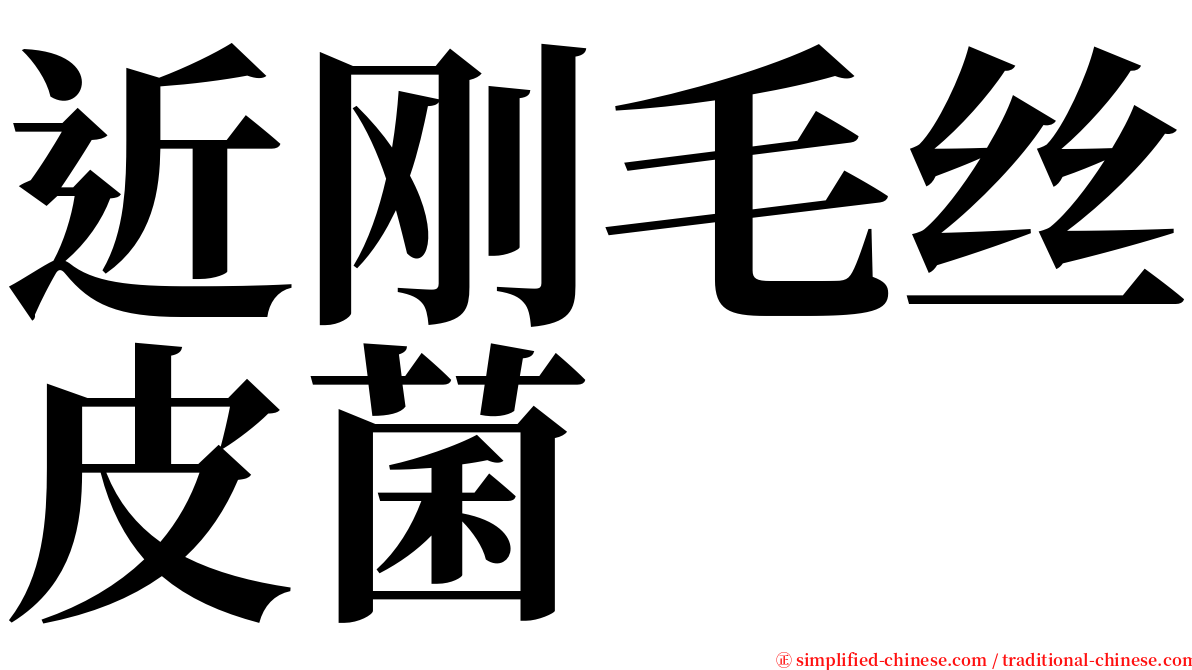 近刚毛丝皮菌 serif font
