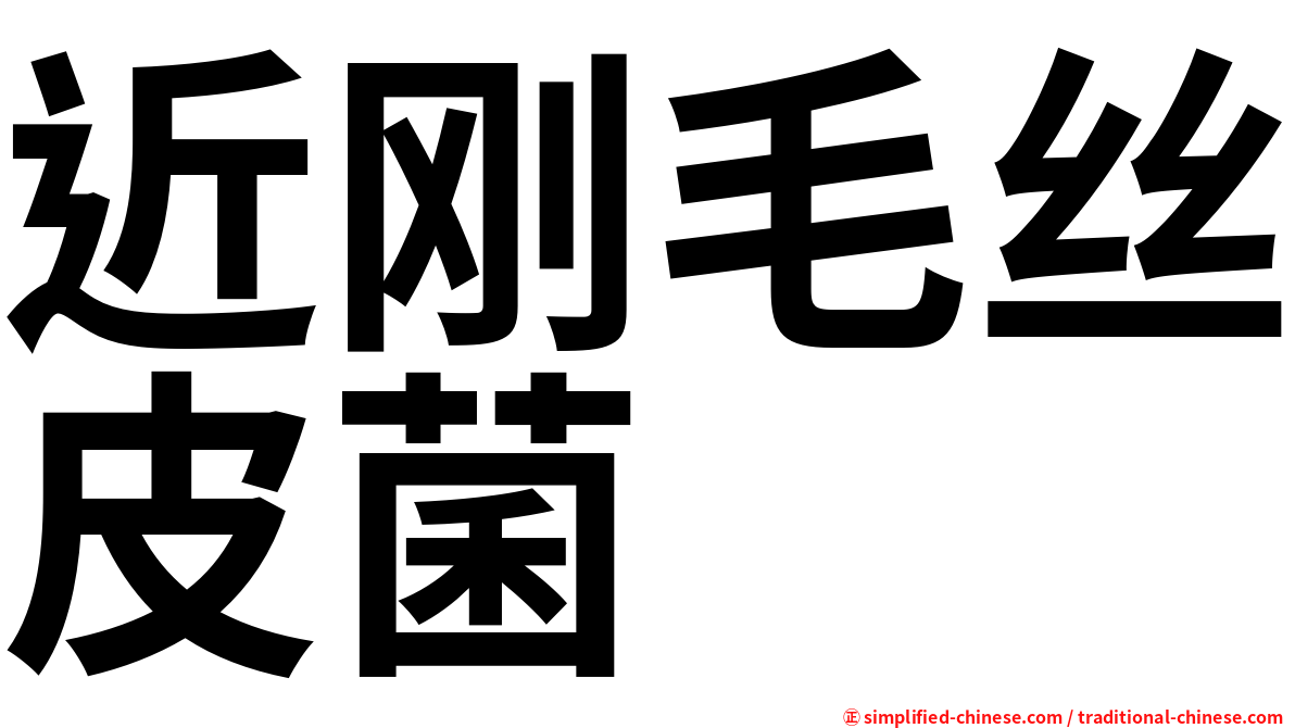 近刚毛丝皮菌