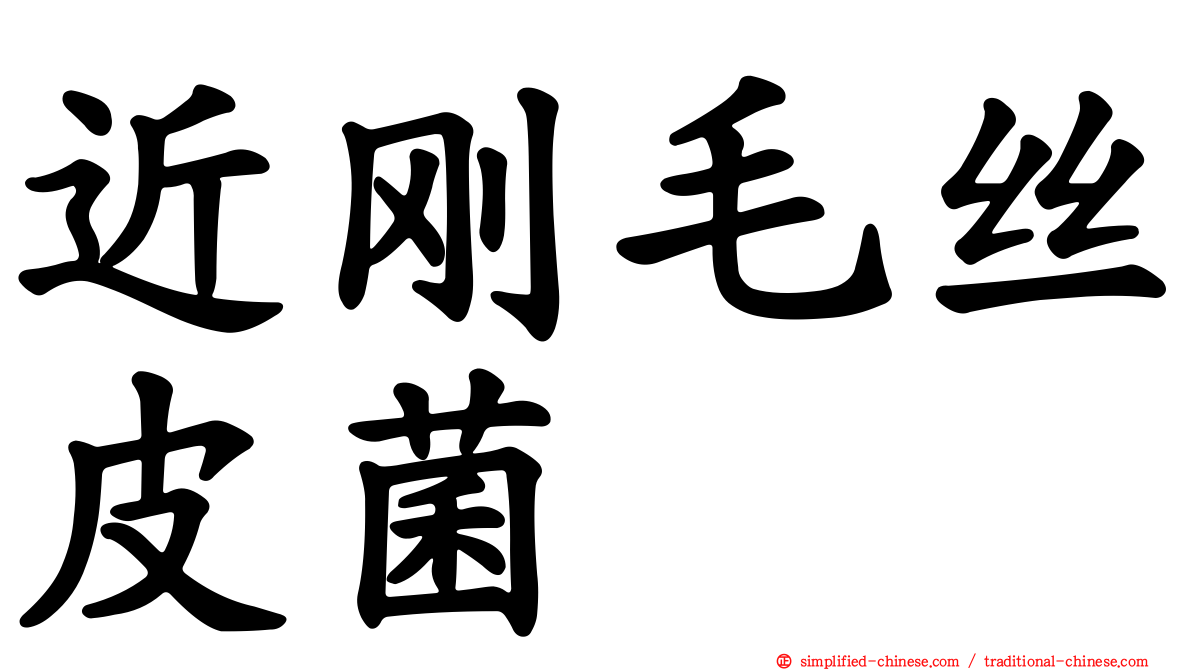 近刚毛丝皮菌