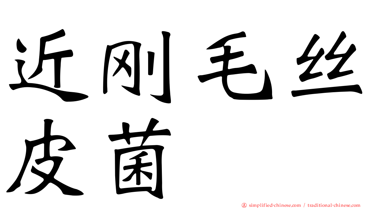 近刚毛丝皮菌
