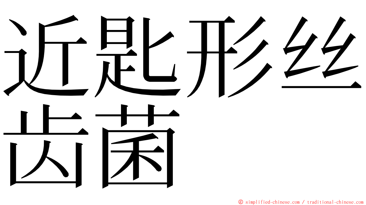 近匙形丝齿菌 ming font