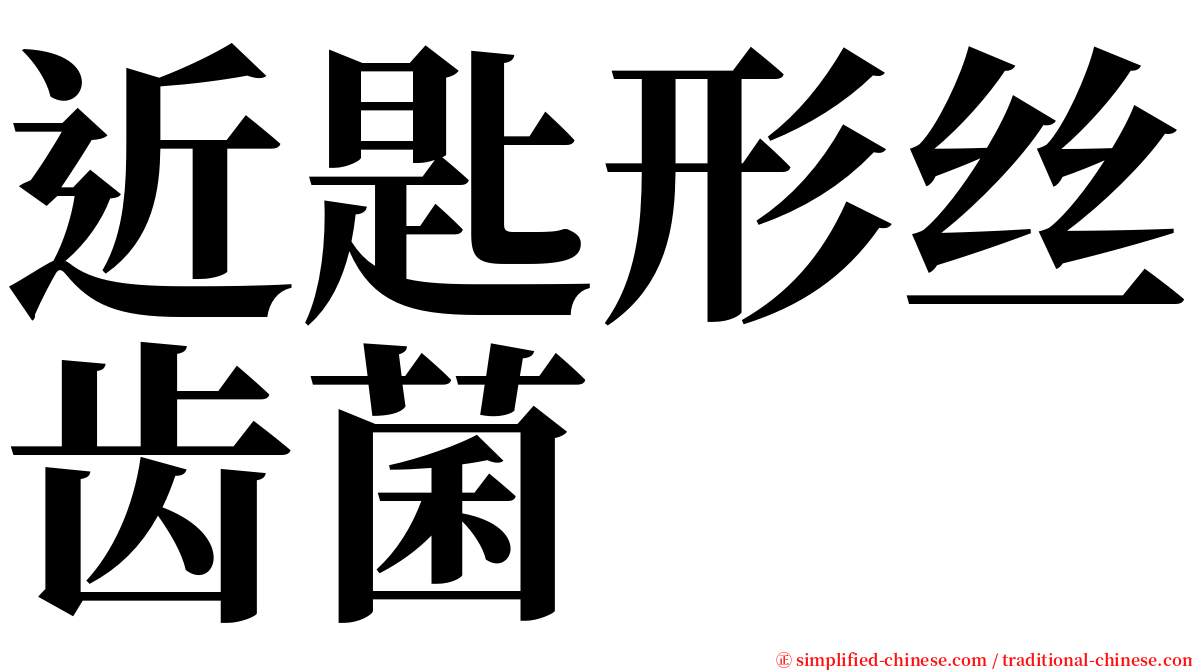 近匙形丝齿菌 serif font