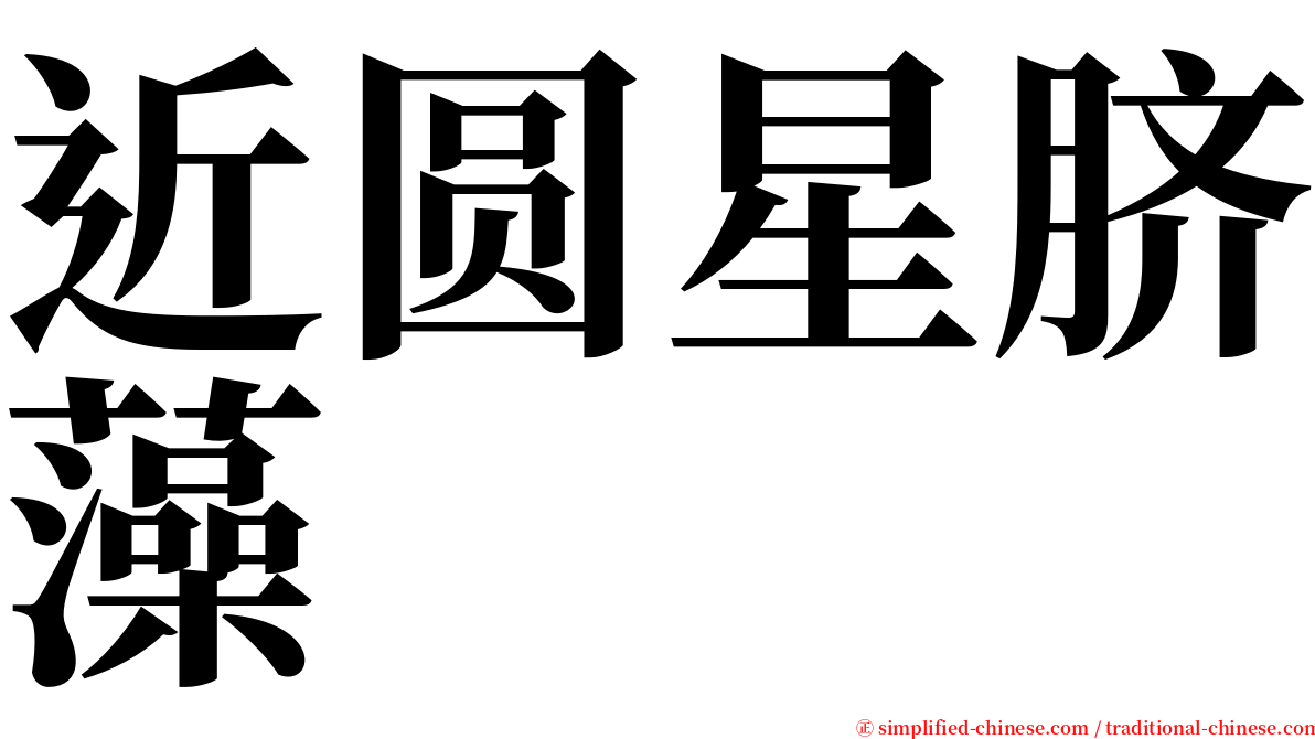 近圆星脐藻 serif font