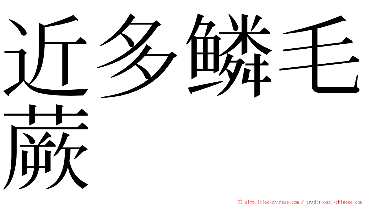 近多鳞毛蕨 ming font