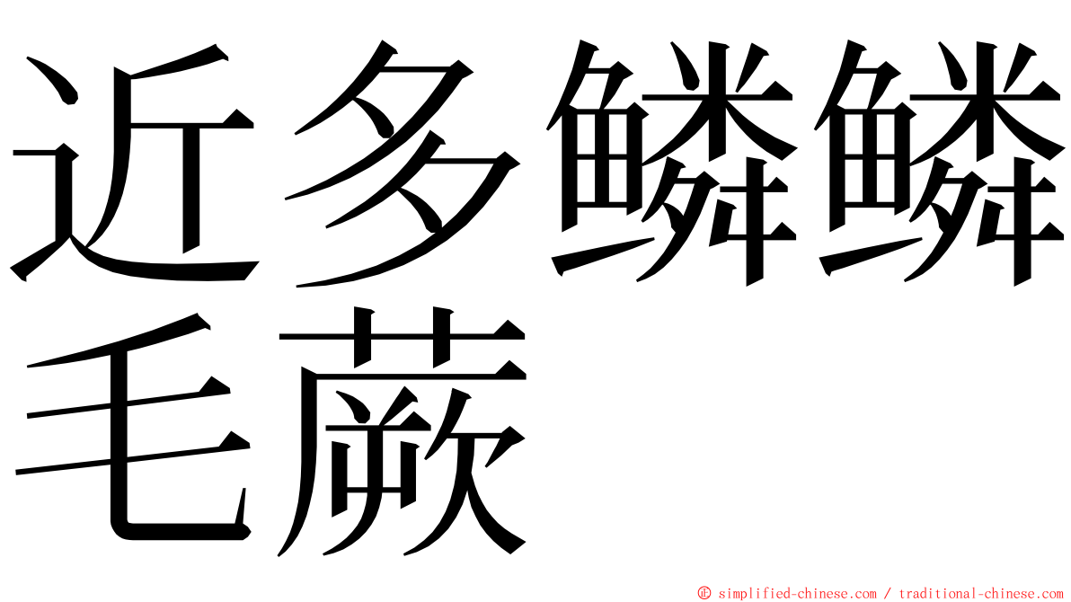 近多鳞鳞毛蕨 ming font