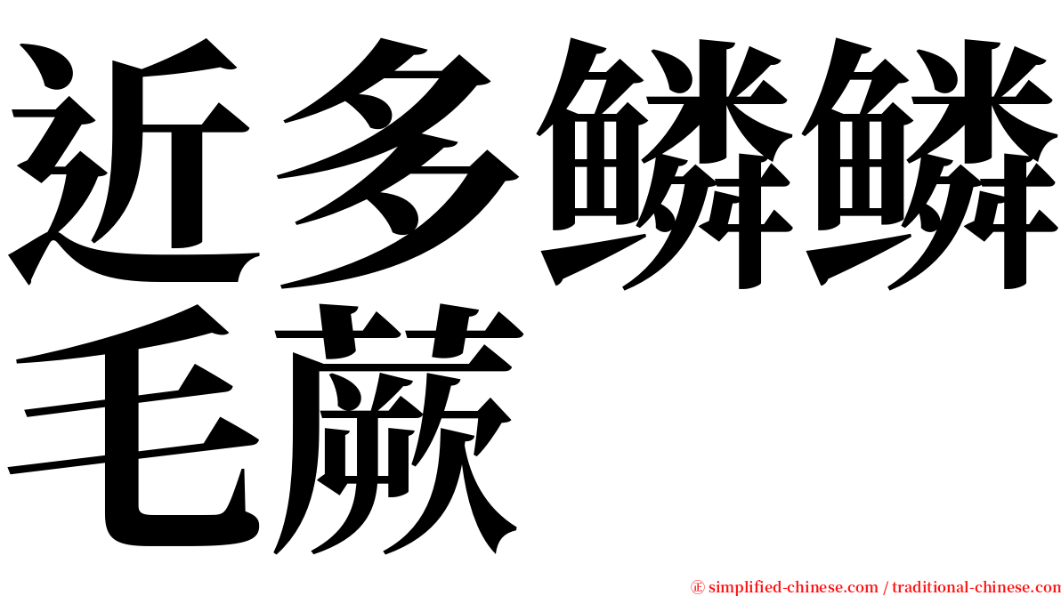 近多鳞鳞毛蕨 serif font