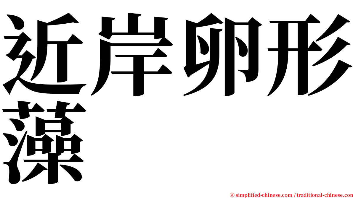 近岸卵形藻 serif font