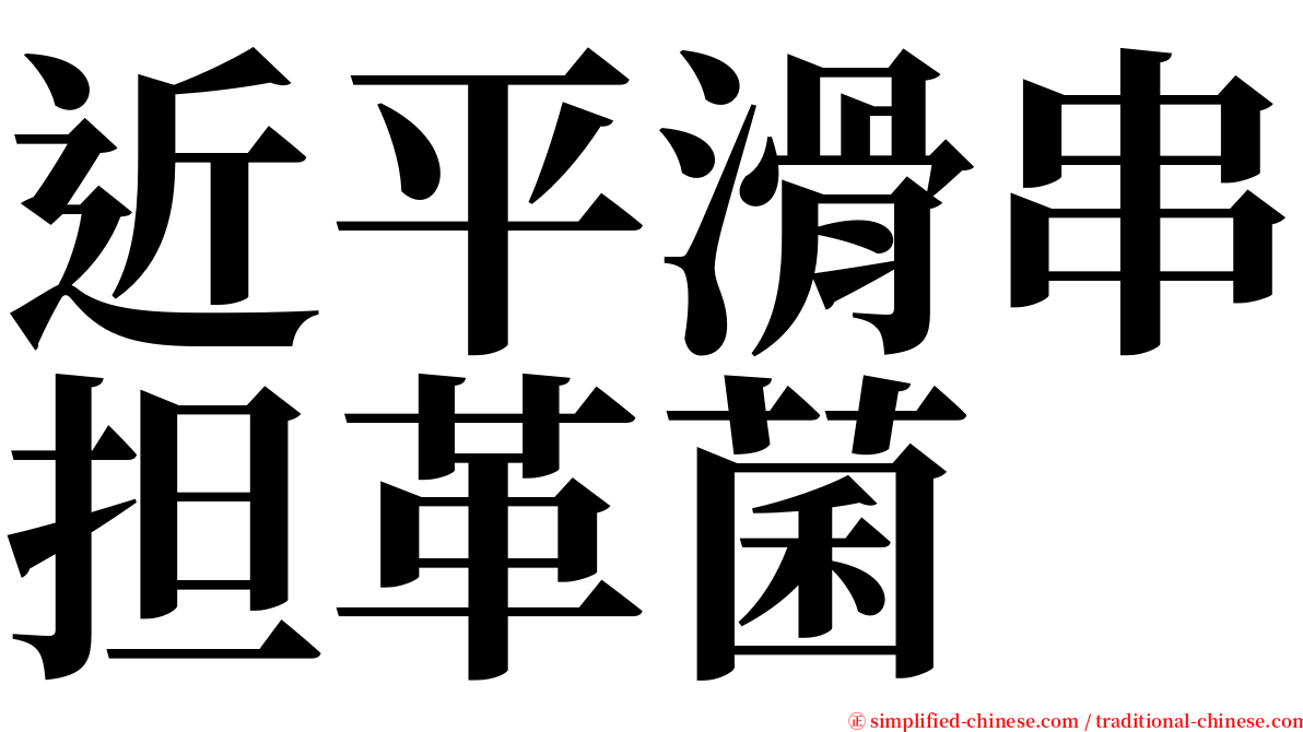 近平滑串担革菌 serif font