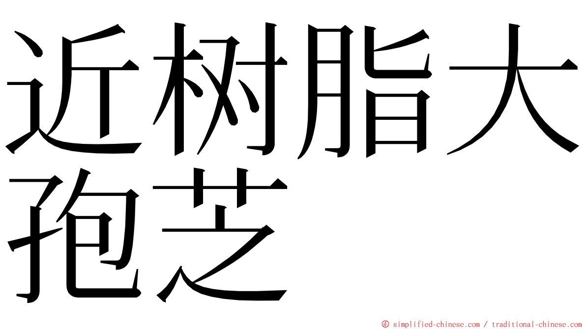 近树脂大孢芝 ming font